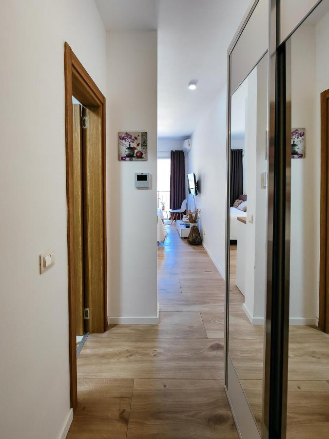 Brand New Studio With Panorama View Kotor Eksteriør bilde